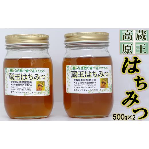 ふるさと納税 加工品等 はちみつ 宮城県 蔵王町 蔵王高原はちみつ詰合せ 500g×2本  04301-0286の画像