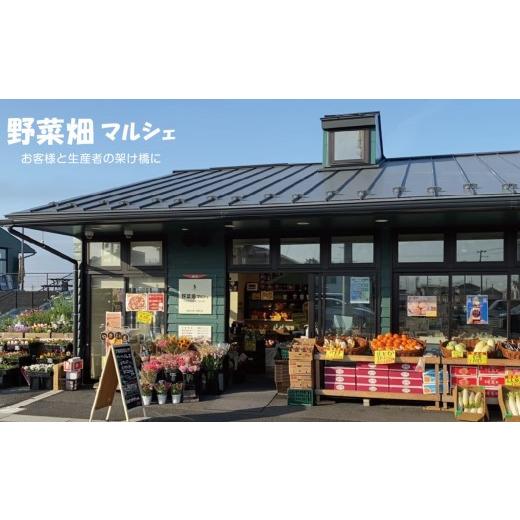 ふるさと納税 加工品等 はちみつ 宮城県 蔵王町 蔵王高原はちみつ詰合せ 500g×2本  04301-0286の画像