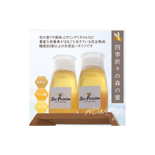 ふるさと納税 加工品等 はちみつ 京都府 京丹後市  国産 ハチミツ KYOTOTANGOHONEY森の百花蜜 純粋 天然ハチミツ３００ｇ（ボトル）×２本 蜂蜜・はちみつ・国…の画像