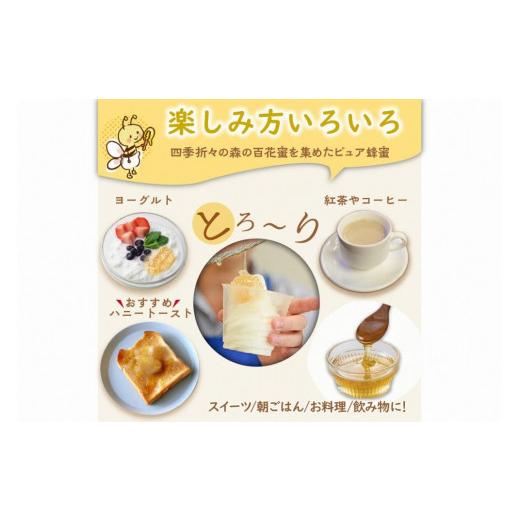 ふるさと納税 加工品等 はちみつ 京都府 京丹後市  国産 ハチミツ KYOTOTANGOHONEY森の百花蜜 純粋 天然ハチミツ３００ｇ（ボトル）×２本 蜂蜜・はちみつ・国…の画像
