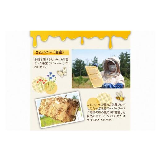 ふるさと納税 加工品等 はちみつ 京都府 京丹後市  国産 ハチミツ KYOTOTANGOHONEY森の百花蜜 純粋 天然ハチミツ３００ｇ（ボトル）×２本 蜂蜜・はちみつ・国…の画像