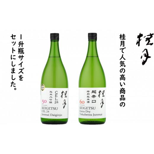 ふるさと納税 高知県 本山町 土佐　れいほくの地酒　フルーティーな純米大吟醸酒と超辛口・特別純米酒　1升瓶セット [No.5670-0188] 1800ml