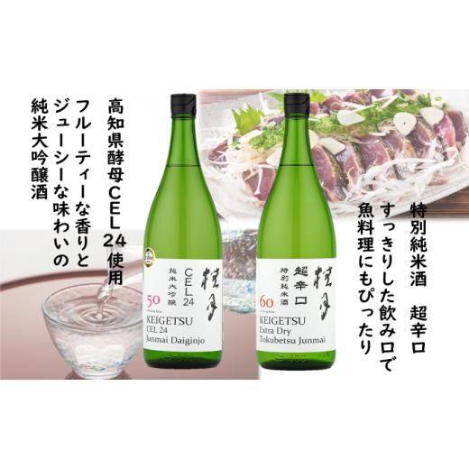 ふるさと納税 高知県 本山町 土佐　れいほくの地酒　フルーティーな純米大吟醸酒と超辛口・特別純米酒　1升瓶セット [No.5670-0188] 1800ml