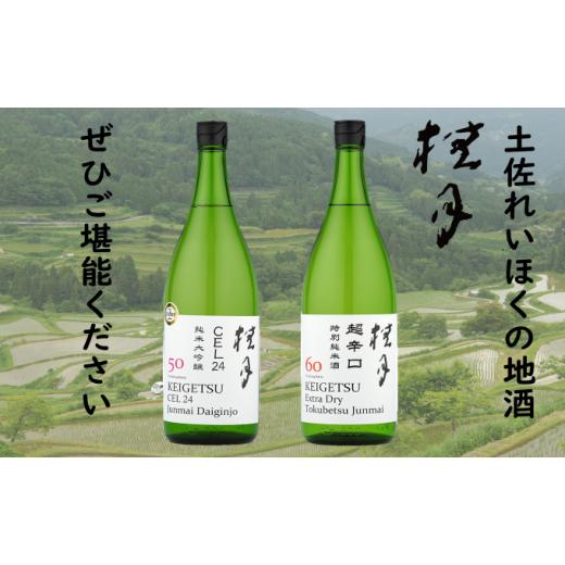 ふるさと納税 高知県 本山町 土佐　れいほくの地酒　フルーティーな純米大吟醸酒と超辛口・特別純米酒　1升瓶セット [No.5670-0188] 1800ml