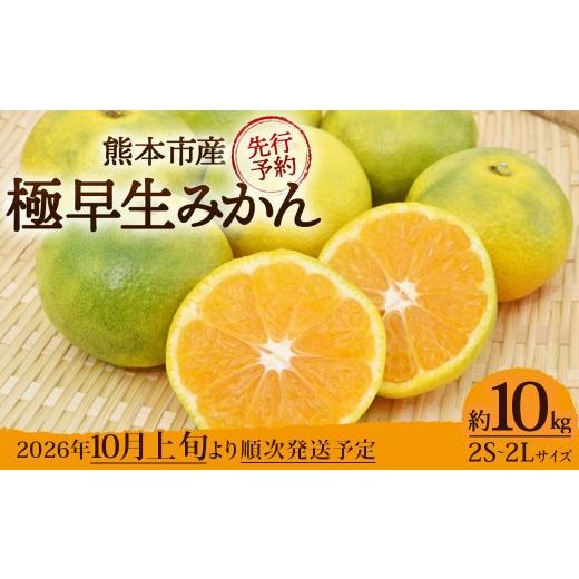 ふるさと納税 果物類 みかん 熊本県 熊本市 極早生 みかん 約10kg (2S〜2Lサイズ) 2026年10月上旬〜11月上旬発送予定