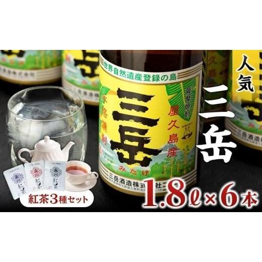 ふるさと納税 焼酎 いも 鹿児島県 屋久島町 焼酎一升瓶 三岳6本+紅茶セット