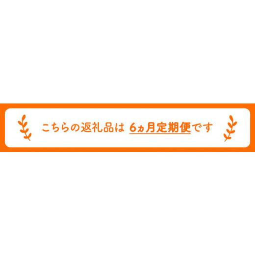 ふるさと納税 コーヒー コーヒー豆 福岡県 小竹町  6ヶ月定期便 コーヒー豆3種のセット 各100g(豆) 計300g 旬のおすすめ豆 エチオピア・モカ オリジナルブレン…_2