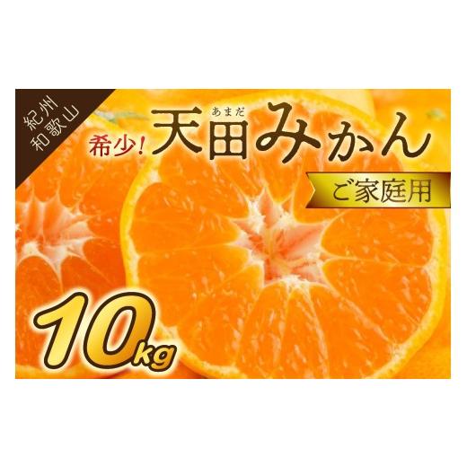 ふるさと納税 果物類 みかん 和歌山県 御坊市 希少 天田みかん(紀州和歌山)ご家庭用10kg