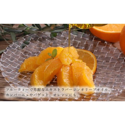 【新版】 ふるさと納税 岡山県 瀬戸内市 オリーブオイル 有機栽培 エキストラバージン オリーブ オイル ブレンド 6本 セット オーガニック 油 オリーブ油 食用油 調味料… 【TMF7444301674】(26220円)