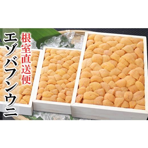 ふるさと納税 ウニ 北海道 根室市 E-53005 エゾバフンウニバラ詰め250g×3折 2026年3月上旬以降発送