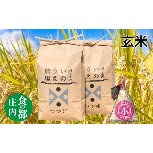 ふるさと納税 米 つや姫 山形県 三川町 食の都庄内 令和7年産・玄米 特別栽培米つや姫5kg×2袋+つやポン[井上農場] 玄米 令和7年産