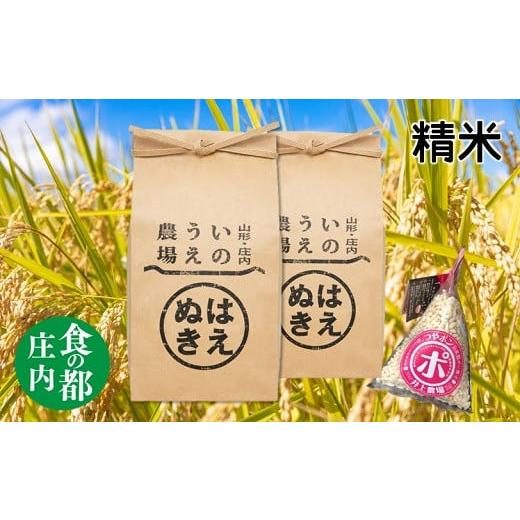 ふるさと納税 山形県 三川町 食の都庄内 [令和5年産・精米]井上農場の特別栽培米はえぬき5kg×2袋+つやポン[井上農場] 精米[令和5年産]