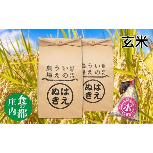 ふるさと納税 山形県 三川町 食の都庄内 [令和5年産・玄米]井上農場の特別栽培米はえぬき5kg×2袋+つやポン[井上農場] 玄米[令和5年産]