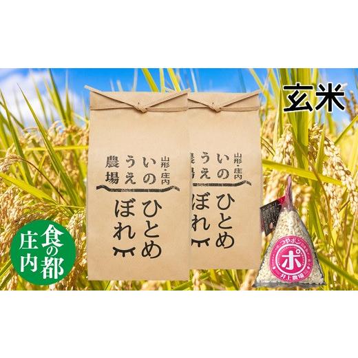 ふるさと納税 玄米 山形県 三川町 食の都庄内 令和7年産・玄米 特別栽培米ひとめぼれ5kg×2袋+つやポン[井上農場] 玄米 令和7年産