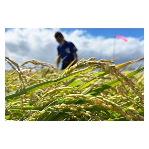 ふるさと納税 玄米 北海道 砂川市  先行予約 米 令和8年 ななつぼし 玄米 30kg JA新すながわ 北海道 砂川市 12260852 令和8年産 お米 農協の画像