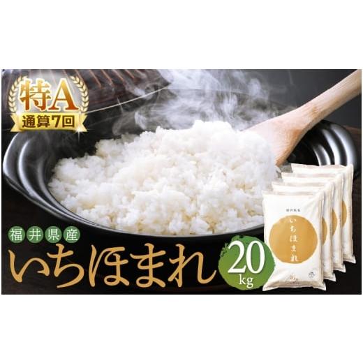 ふるさと納税 米 福井県 越前町 特A通算7回 お米 令和7年産 いちほまれ 20kg 福井県産 米 コメ kome 20キロ 精米 白米 e27-f009