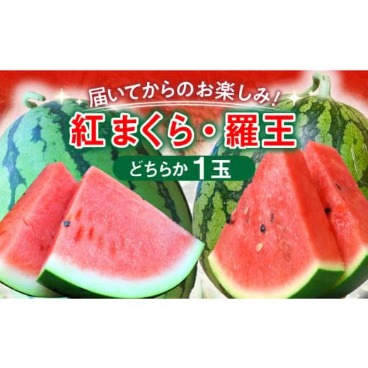 ふるさと納税 長崎県 平戸市 [先行予約][夏の贅沢!あま〜い スイカ ]平戸産 スイカ 1玉(Lサイズ・6〜7kg) 