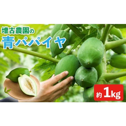 ふるさと納税 果物類 茨城県 鹿嶋市 青パパイヤ 先行予約 1kg (2~3玉) パパイヤ サラダ 野菜 フルーツ トロピカル トロピカルフルーツ ポリフェノール パパイ…