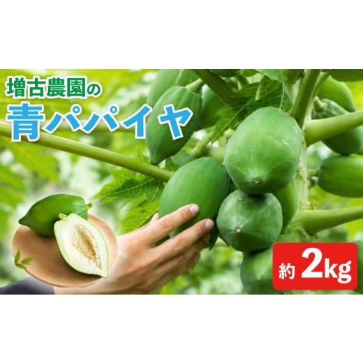 ふるさと納税 果物類 茨城県 鹿嶋市 青パパイヤ 先行予約 2kg (約4~5玉) パパイヤ サラダ 野菜 フルーツ トロピカル トロピカルフルーツ ポリフェノール パパ…