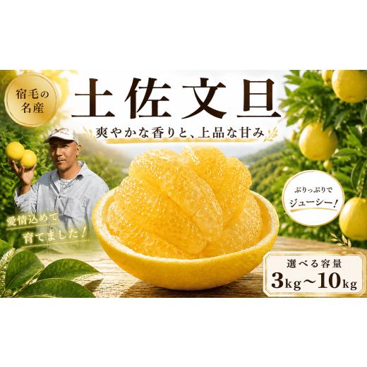 ふるさと納税 みかん・柑橘類 高知県 宿毛市 家庭用 土佐文旦 大玉(3L~4L) 約10kg 吉村農園 家庭用 土佐文旦 大玉(3L~4L) 約10kg 20,000円