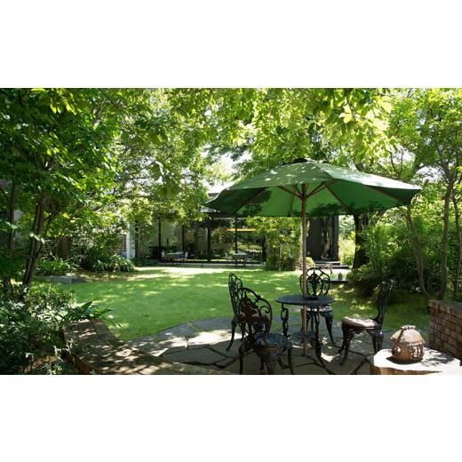 ふるさと納税 千葉県 野田市 希少種コーヒー豆堪能セット（粗挽き） ふるさと納税 希少種コーヒー豆堪能セット（粗挽き）