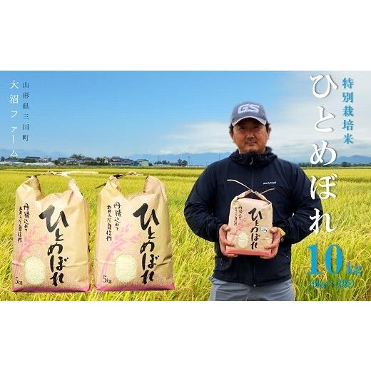 ふるさと納税 米 ひとめぼれ 山形県 三川町 令和7年産・精米 大沼ファームの特別栽培米ひとめぼれ10kg