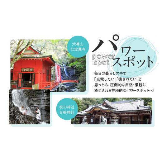 ふるさと納税 タオル・寝具 バスタオル 大阪府 泉佐野市 超大判バスタオル２枚セット（ブリリアントブラック）泉州タオル 90×170cm 泉州タオル 国産 吸水 普…の画像
