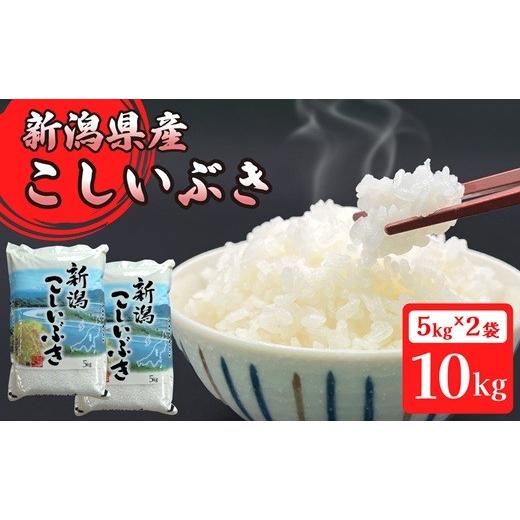 ふるさと納税 米 新潟県 胎内市 16-I101新潟県胎内市産こしいぶき10kg(5kg×2袋)
