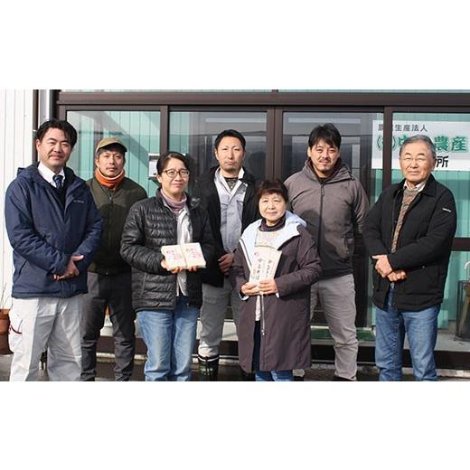ふるさと納税 米 新潟県 胎内市 16-I103 3ヶ月連続お届け 新潟県胎内市産こしいぶき10kg（5kg×2袋）の画像