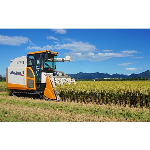 ふるさと納税 米 新潟県 胎内市 16-I103 3ヶ月連続お届け 新潟県胎内市産こしいぶき10kg（5kg×2袋）の画像