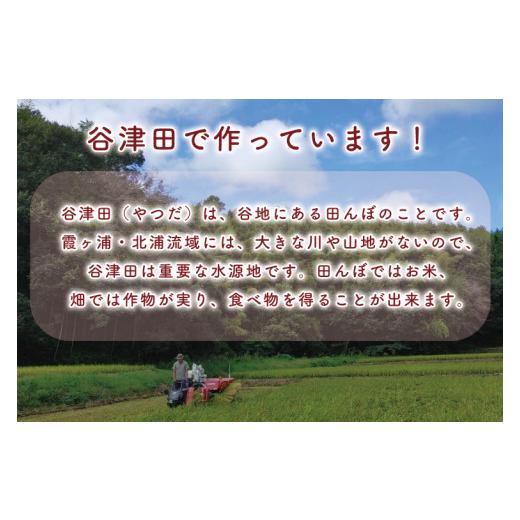 ふるさと納税 和菓子 もち菓子 茨城県 行方市 わか草（草餅） 15個(K-15-1)の画像
