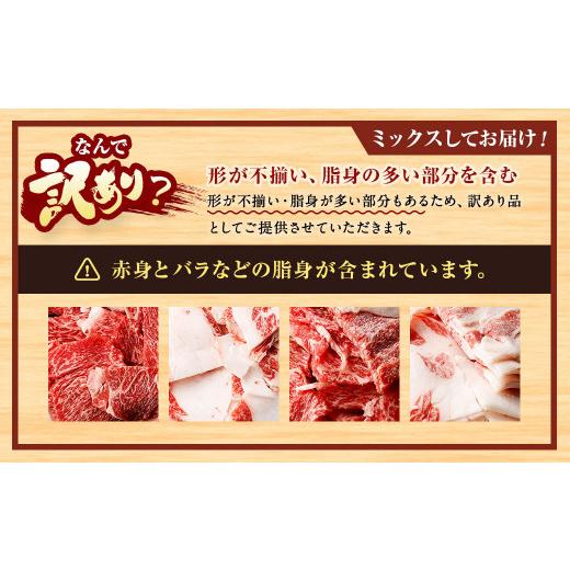 ふるさと納税 牛肉 福岡県 遠賀町  訳あり 博多和牛 切落し 800g 切り落とし 牛肉 400g×2パック 福岡県 遠賀町 |  | 10