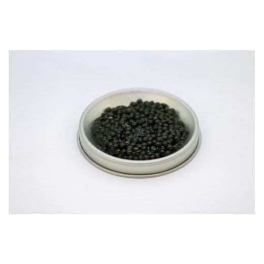 ふるさと納税 缶詰・瓶詰 和歌山県 由良町 近大キャビア10ｇ×3個 akd004_2
