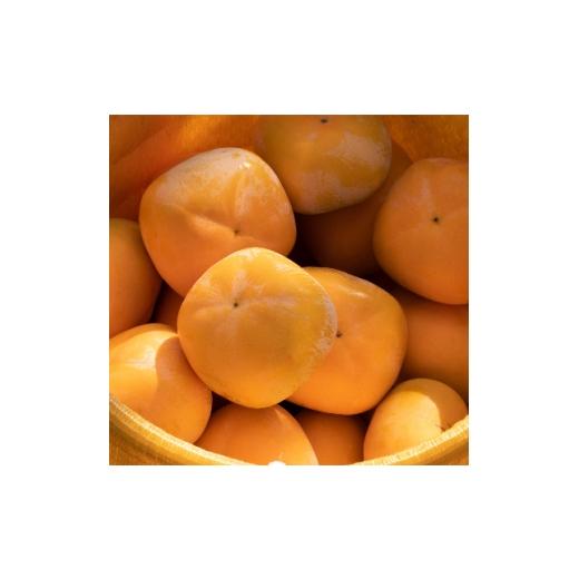 ふるさと納税 果物類 柿 奈良県 天理市 R8年10月中下旬〜11月発送糖度に自信あり刀根早生発祥の地より直送 種なし柿L〜M 18個〜20個 1233077