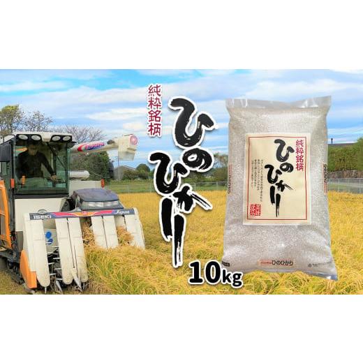 ふるさと納税 熊本県 玉名市 ヒノヒカリ ( 検査米 ) 10kg | 米 こめ お米 おこめ 白米 精米 ひのひかり 熊本県 玉名市