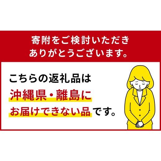 ふるさと納税 そば 乾めん 栃木県 那須塩原市 山芋そば 15袋セット ns036-004 蕎麦 麺 乾麺 地粉_5