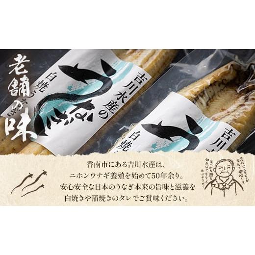 ふるさと納税 うなぎ 高知県 香南市 白焼き 鰻 吉川水産 高知県産うなぎの白焼き 中サイズ(120〜150g)×3尾 タレ付き yw-0046
