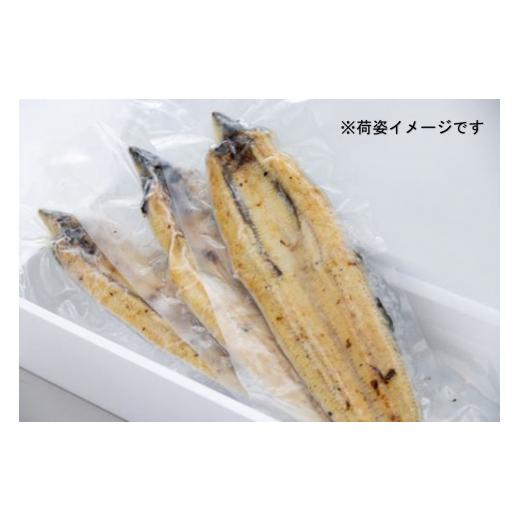 ふるさと納税 うなぎ 高知県 香南市 白焼き 鰻 吉川水産 高知県産うなぎの白焼き 中サイズ(120〜150g)×3尾 タレ付き yw-0046