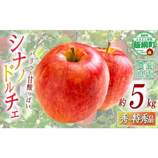 ふるさと納税 りんご 長野県 飯綱町 りんご シナノドルチェ 秀 〜 特秀 5kg 丸山功農園 沖縄県への配送不可 2026年9月上旬頃から2026年9月下旬頃まで順次発送…