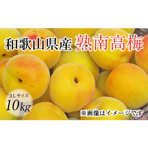 【訳あり品】 ふるさと納税 和歌山県 北山村 【梅干し・梅酒用】熟南高梅（生梅）3Lサイズ約10kg＜6月中旬から順次発送＞ 【IQY1277621173】(45000円)