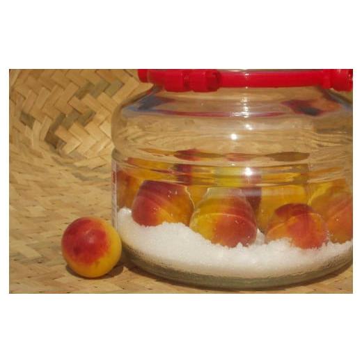 【訳あり品】 ふるさと納税 和歌山県 北山村 【梅干し・梅酒用】熟南高梅（生梅）3Lサイズ約10kg＜6月中旬から順次発送＞ 【IQY1277621173】(45000円)