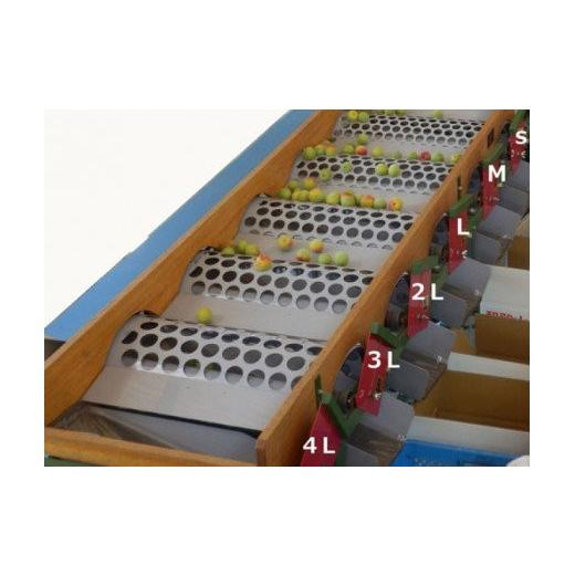 【訳あり品】 ふるさと納税 和歌山県 北山村 【梅干し・梅酒用】熟南高梅（生梅）3Lサイズ約10kg＜6月中旬から順次発送＞ 【IQY1277621173】(45000円)