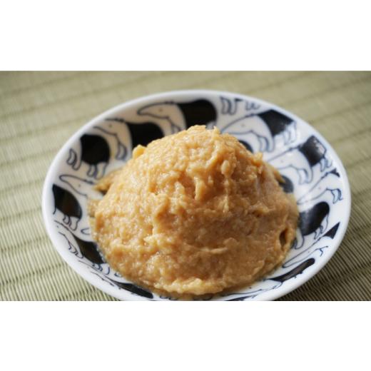 ふるさと納税 佐賀県 嬉野市 奈良漬け 5kg 【西野酒店】 NAR002 