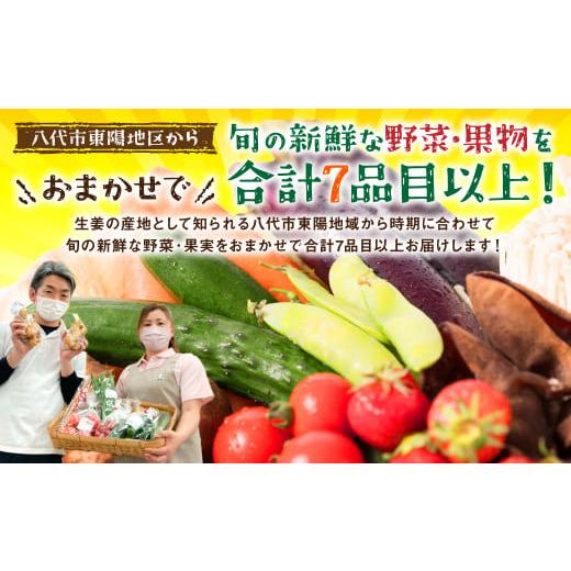 ふるさと納税 熊本県 八代市 【2ヶ月に1回お届け】【定期便3回】八代市産！旬の農産物詰合せ 復興 福袋 7品以上｜furusatochoice｜03