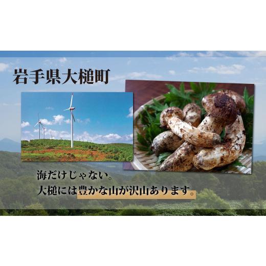 ふるさと納税 野菜類 きのこ 岩手県 大槌町 《先行予約》 令和8年10月より発送 秋の味覚 松茸ミックスサイズ 500g（MJ）国産 岩手 岩手県 土瓶蒸し 松茸ごはん…_3