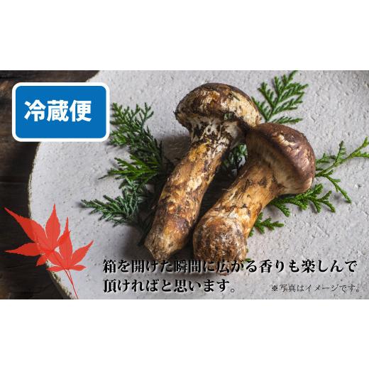 ふるさと納税 野菜類 きのこ 岩手県 大槌町 《先行予約》 令和8年10月より発送 秋の味覚 松茸ミックスサイズ 500g（MJ）国産 岩手 岩手県 土瓶蒸し 松茸ごはん…_4