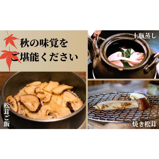 ふるさと納税 野菜類 きのこ 岩手県 大槌町 《先行予約》 令和8年10月より発送 秋の味覚 松茸ミックスサイズ 500g（MJ）国産 岩手 岩手県 土瓶蒸し 松茸ごはん…_5