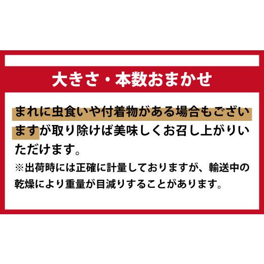 ふるさと納税 野菜類 きのこ 岩手県 大槌町 《先行予約》 令和8年10月より発送 秋の味覚 松茸ミックスサイズ 500g（MJ）国産 岩手 岩手県 土瓶蒸し 松茸ごはん…_6