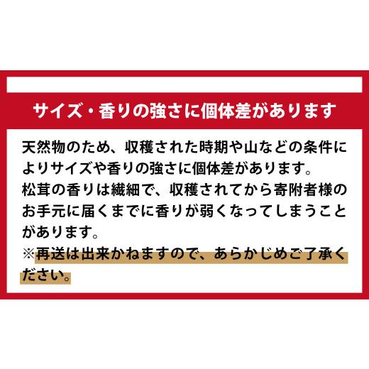 ふるさと納税 野菜類 きのこ 岩手県 大槌町 《先行予約》 令和8年10月より発送 秋の味覚 松茸ミックスサイズ 500g（MJ）国産 岩手 岩手県 土瓶蒸し 松茸ごはん…_7