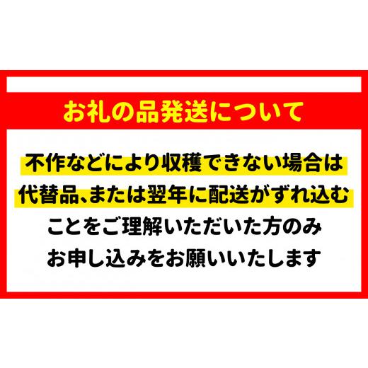 ふるさと納税 野菜類 きのこ 岩手県 大槌町 《先行予約》 令和8年10月より発送 秋の味覚 松茸ミックスサイズ 500g（MJ）国産 岩手 岩手県 土瓶蒸し 松茸ごはん…_8